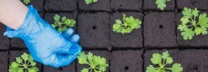 Boost success with LED propagation lights