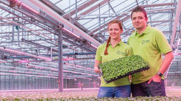 GreenPower LED flowering lamp Philips lighting