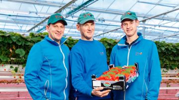 GreenPower LED flowering lamp Philips lighting