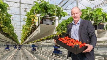 Philips growing lights