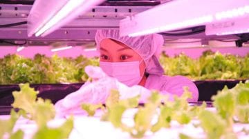 GreenPower LED production module Philips lighting