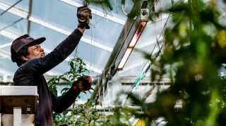 Philips greenpower led toplighting price on sale