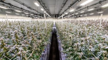 Ready to retrofit your grow facility?