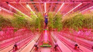 Indoor farming led lights discount