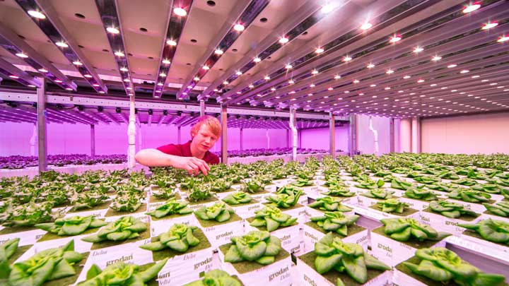 BrightBox City Farming