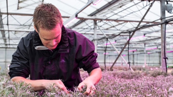Up to 96% higher propagation success rate with Philips LED propagation lights