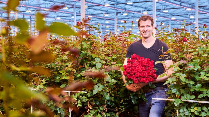Roses