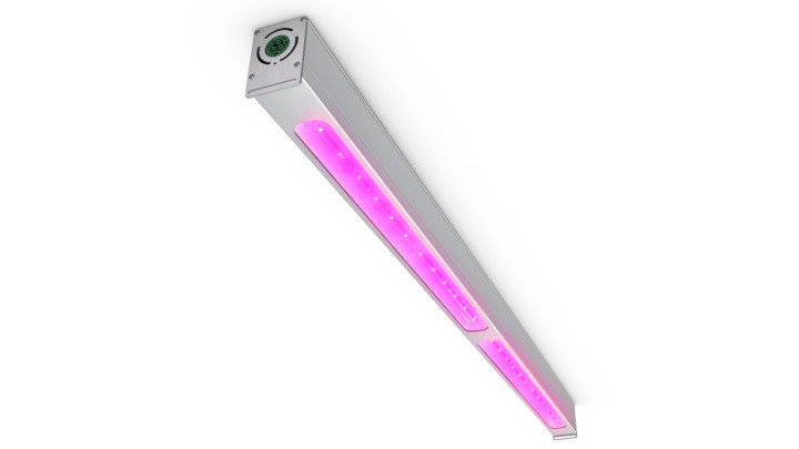 Philips GreenPower LED toplighting are the ideal LED rose lights