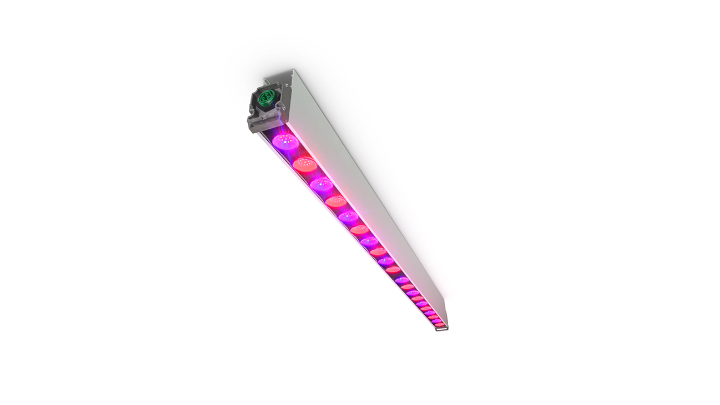 Philips GreenPower LED toplighting are the ideal LED rose lights