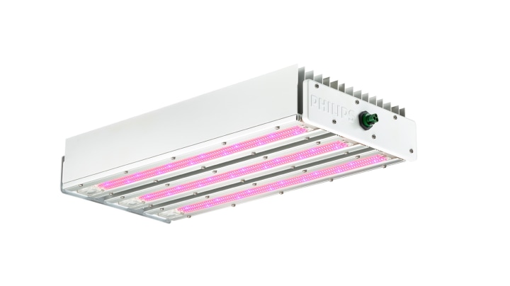 Signify Toplighting force