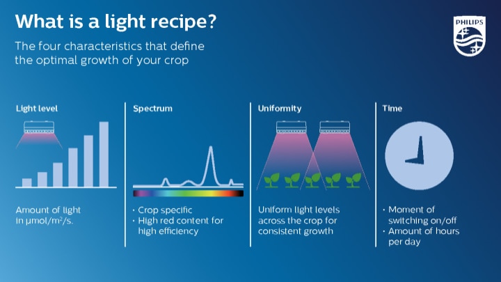 Professional LED | Philips lighting