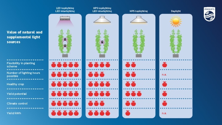 Benefits of LED lights for growing tomatoes or cucumbers