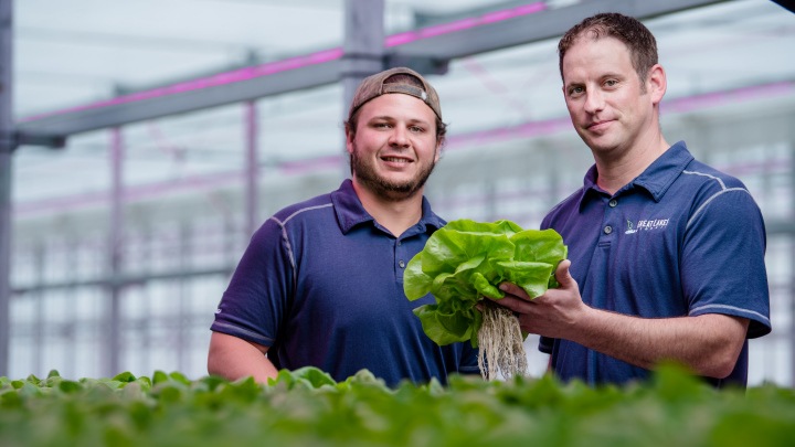 Great Lakes Growers chose Philips as the best LED grow lights for herbs