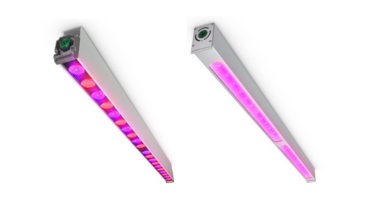 GreenPower LED toplighting is an efficient choice to grow fruits with LED