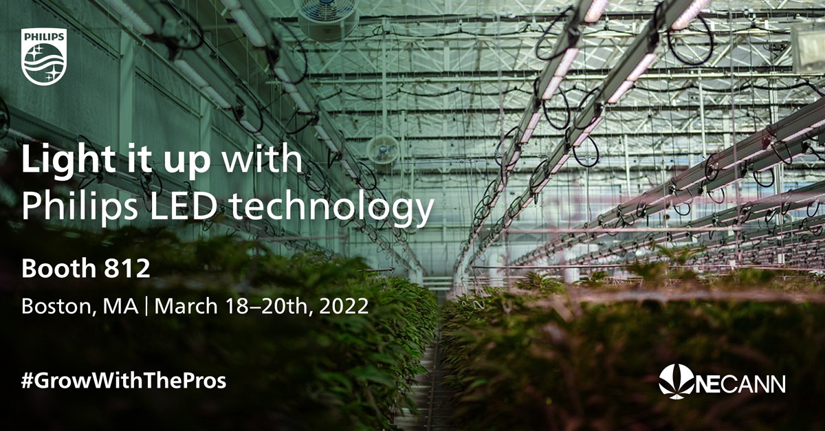 Light it up with Philips Led Technology
