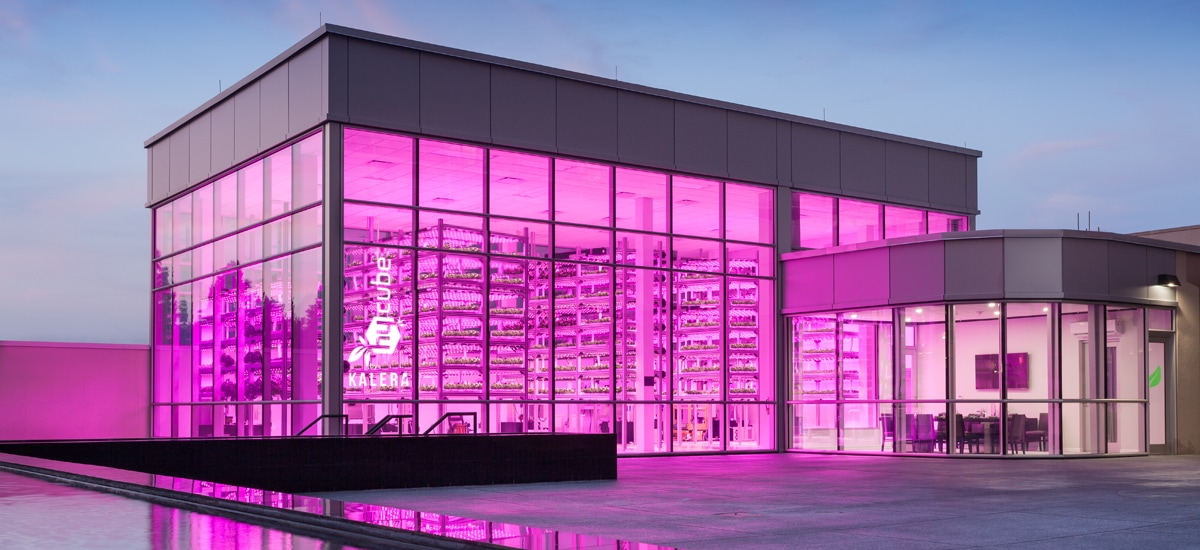Philips grow lights Kalera vertical farming