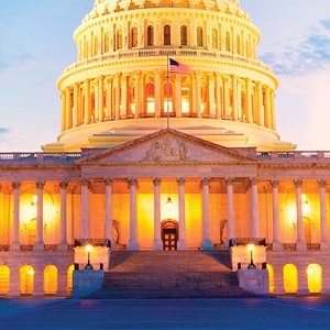 Federal