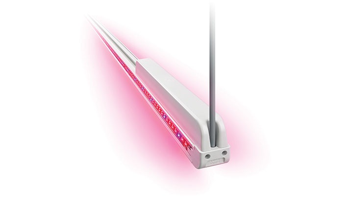 Philips GreenPower LED interlighting 