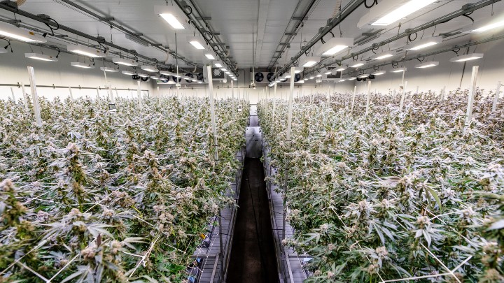 Ready to retrofit your grow facility?​