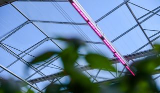 5 Things to check when comparing LED grow lights