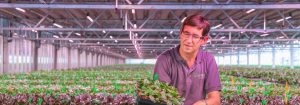 Eco-friendly and orchid-friendly
