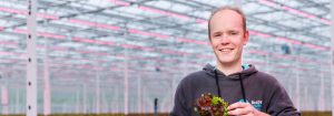 Going indoors to deliver great lettuce year-round